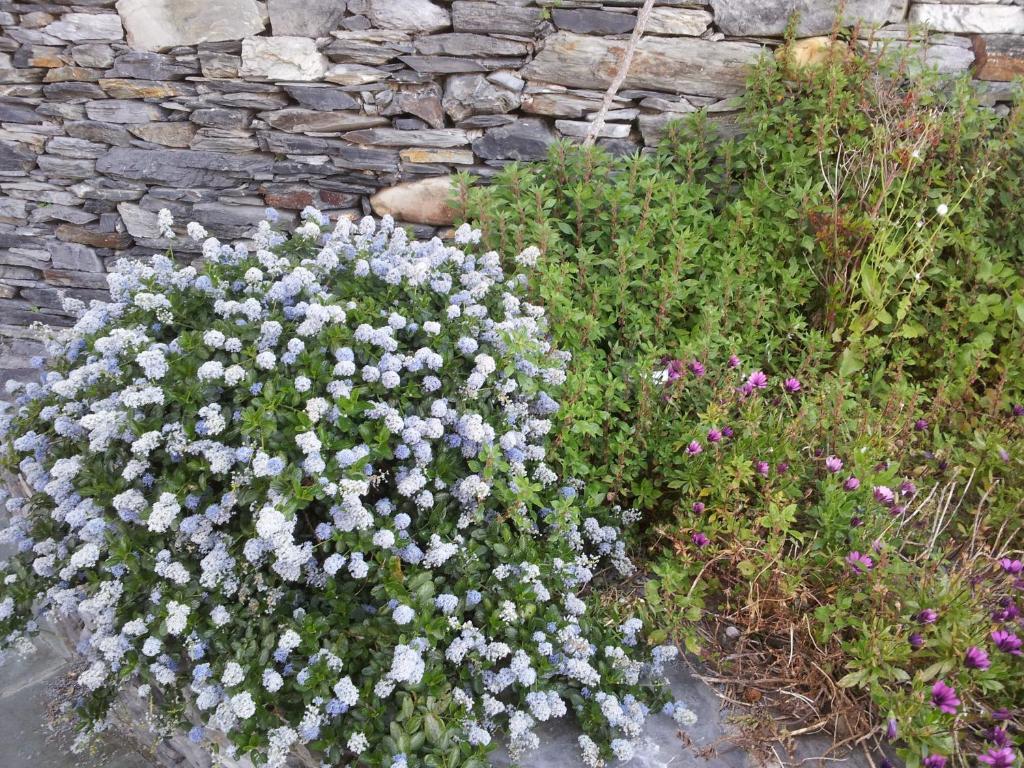 Casona El Gurugu Otel Luarca Dış mekan fotoğraf